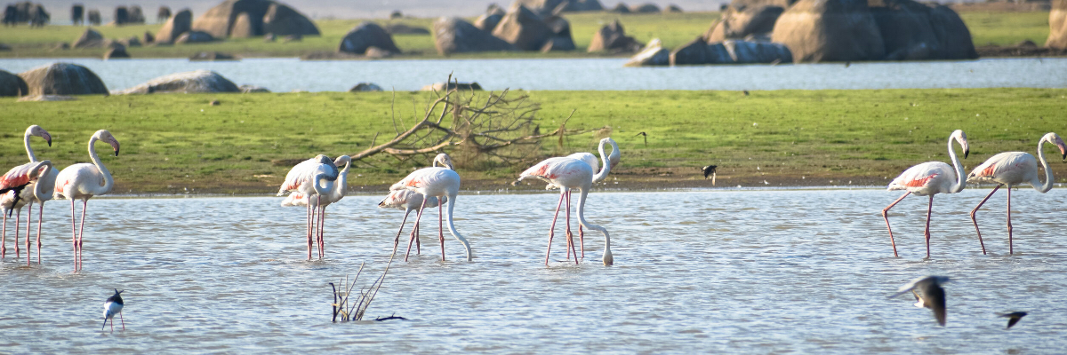 Gemeinsam mit unseren Kunden Wasserprobleme in Indien lösen