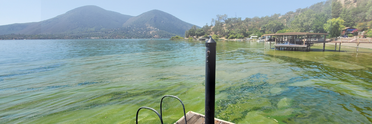 Xylem’s innovative underwater vehicle gives new insights into harmful algal blooms