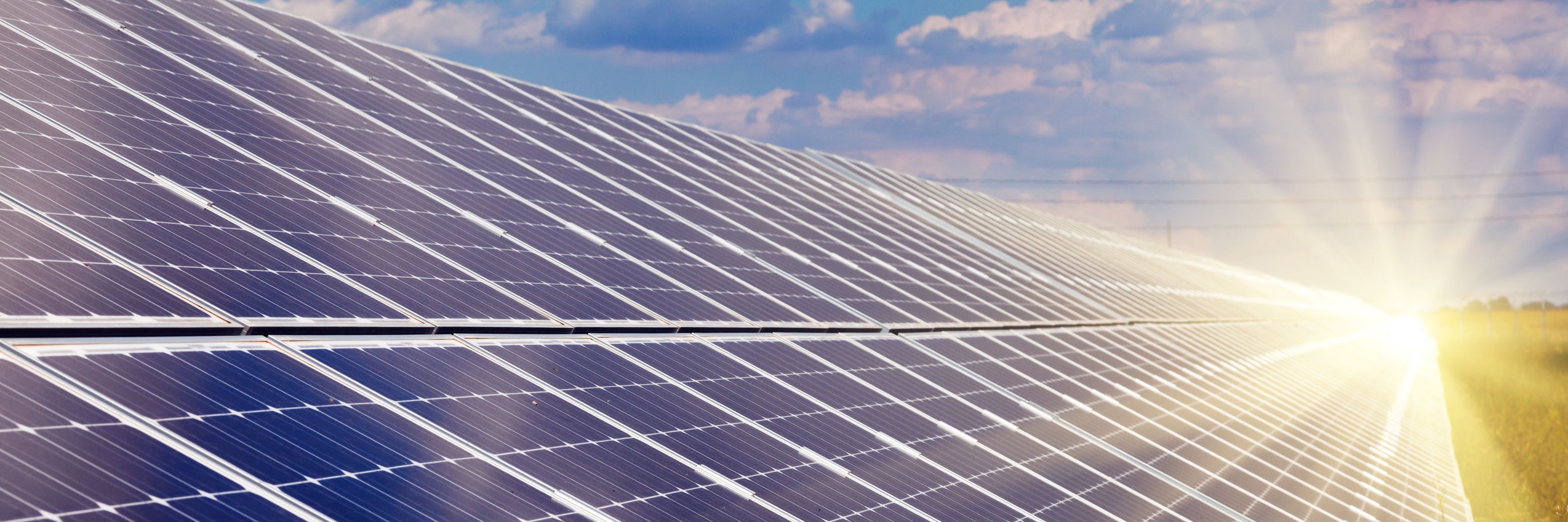 Earth Day 2023: 5 ways Xylem is reducing our environmental footprint