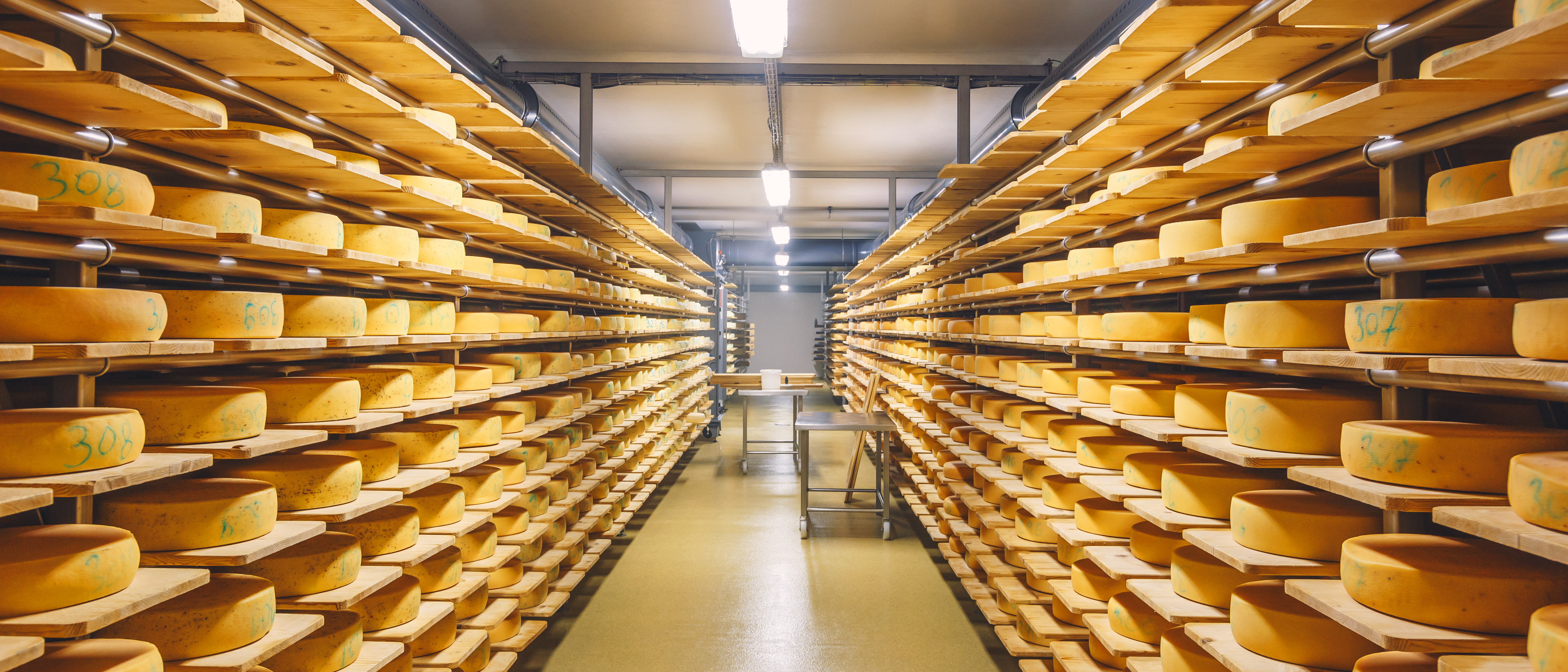 Dissolved air flotation (DAF) for the food and beverage industry
