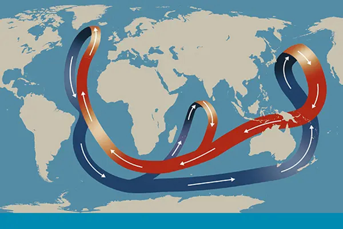 Thermohaline circulation (THC) conveyor belt
