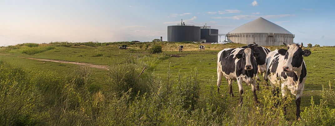  ADI® Systems
