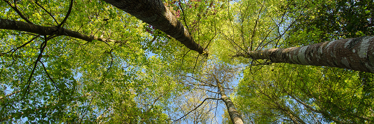 Investir pour notre planète : 4 solutions pour l’eau apportées par Xylem et ses partenaires