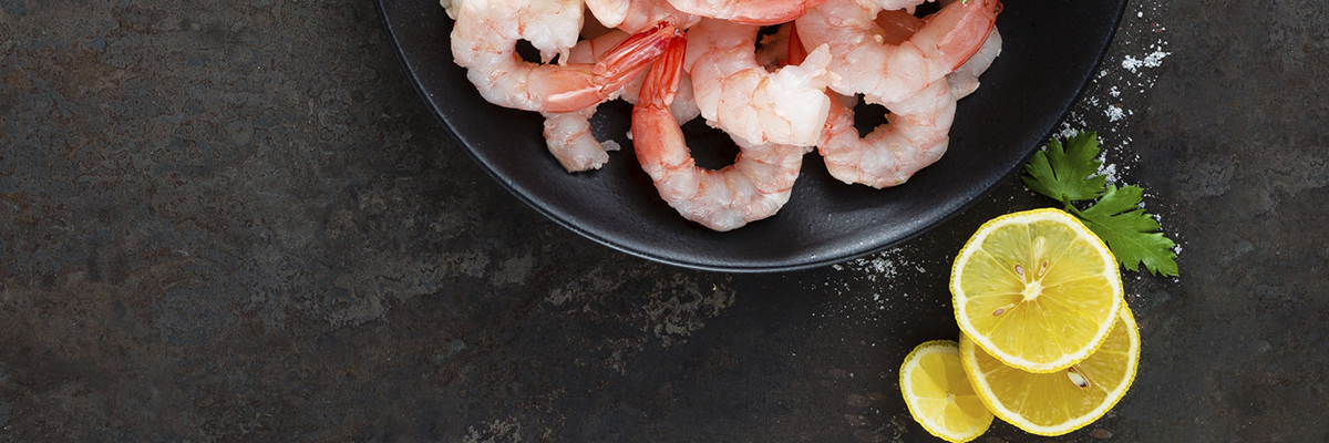 First shrimp farm in Austria uses innovative Xylem pump solution
