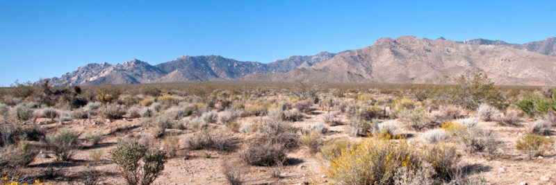 Bypass pumping solution helps protect the Mojave Desert