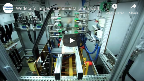 Fábrica de pasta expande la producción con sistemas de ozono de Xylem