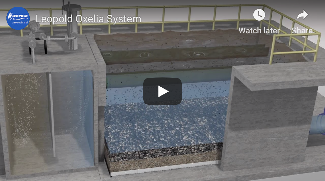 The new Leopold Oxelia system