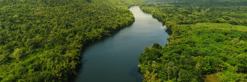 River in dense greenery