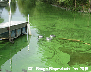 habs-beagle-bioproducts-picture2.jpg