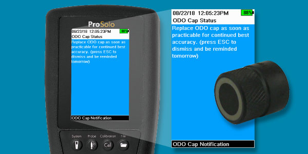 proodo-to-prosolo-7-reminder.jpg