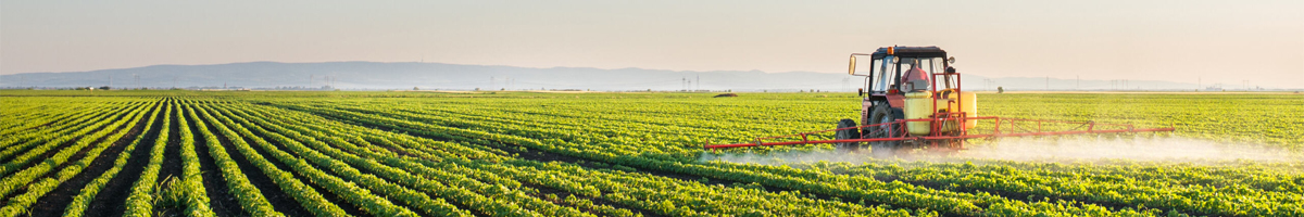 Agriculture